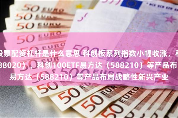 股票配资杠杆是什么意思 科创板系列指数小幅收涨，科创成长50ETF（588020）、科创100ETF易方达（588210）等产品布局战略性新兴产业