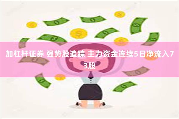 加杠杆证券 强势股追踪 主力资金连续5日净流入73股