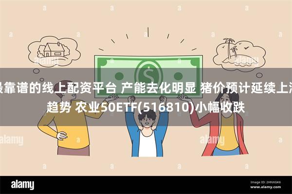 最靠谱的线上配资平台 产能去化明显 猪价预计延续上涨趋势 农业50ETF(516810)小幅收跌