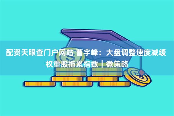 配资天眼查门户网站 曹宇峰：大盘调整速度减缓 权重股拖累指数｜微策略