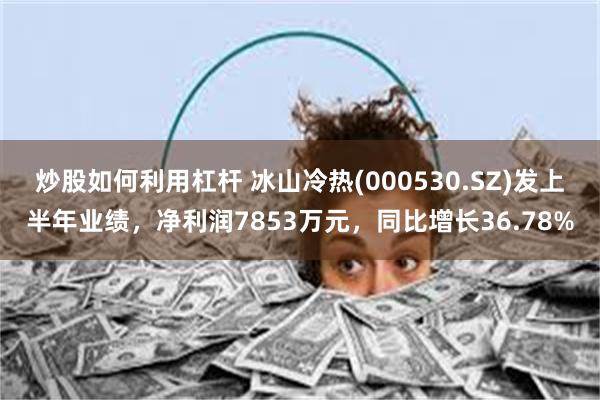 炒股如何利用杠杆 冰山冷热(000530.SZ)发上半年业绩，净利润7853万元，同比增长36.78%