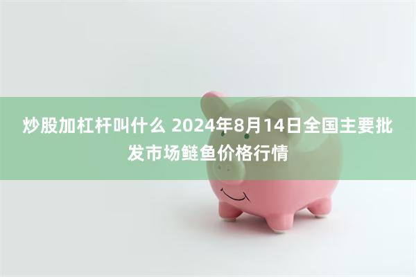 炒股加杠杆叫什么 2024年8月14日全国主要批发市场鲢鱼价格行情