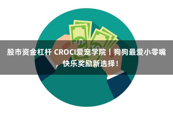 股市资金杠杆 CROCI爱宠学院丨狗狗最爱小零嘴，快乐奖励新选择！