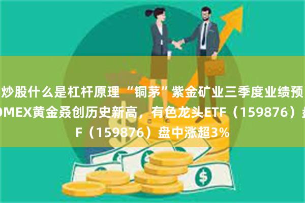 炒股什么是杠杆原理 “铜茅”紫金矿业三季度业绩预喜，国际COMEX黄金叒创历史新高，有色龙头ETF（159876）盘中涨超3%