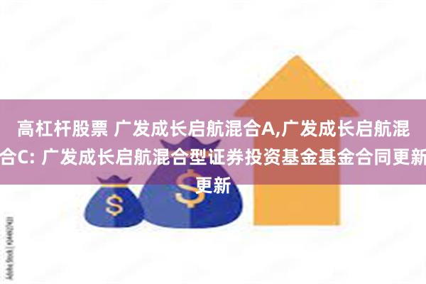 高杠杆股票 广发成长启航混合A,广发成长启航混合C: 广发成长启航混合型证券投资基金基金合同更新