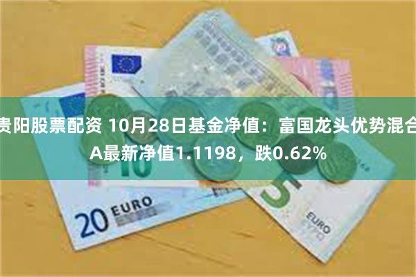 贵阳股票配资 10月28日基金净值：富国龙头优势混合A最新净值1.1198，跌0.62%