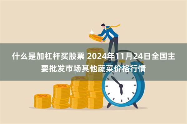 什么是加杠杆买股票 2024年11月24日全国主要批发市场其他蔬菜价格行情