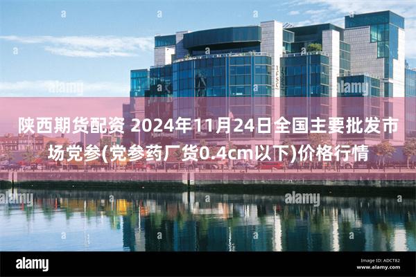 陕西期货配资 2024年11月24日全国主要批发市场党参(党参药厂货0.4cm以下)价格行情