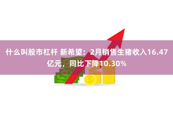 什么叫股市杠杆 新希望：2月销售生猪收入16.47亿元，同比下降10.30%